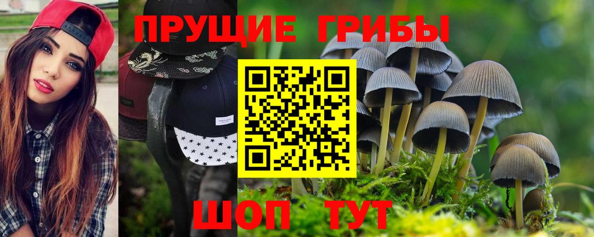 Галлюциногенные грибы Psilocybine cubensis Электросталь